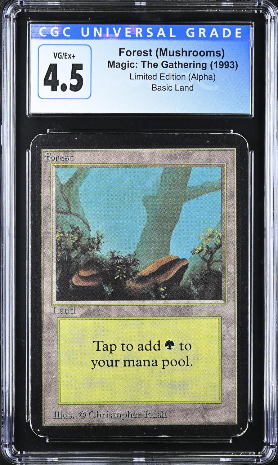 色々な - mtg (Limited Edition Forest アルファ トレーディングカード