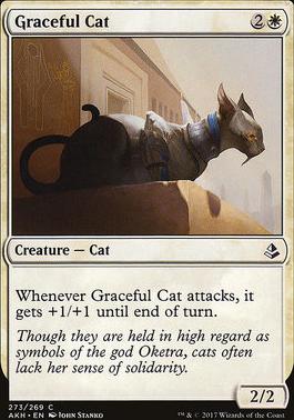 Graceful Cat Amonkhet Modern Card Kingdom