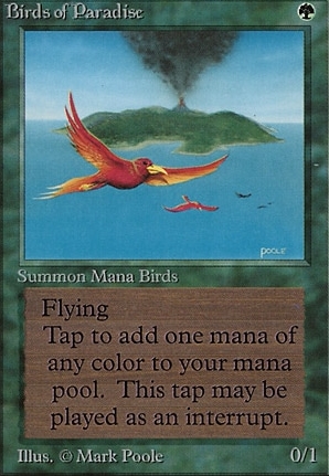 Birds of Paradise | Beta | Card Kingdom