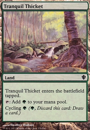 Tranquil Thicket | Commander 2013 | Commander | Card Kingdom