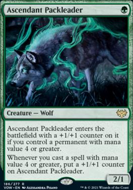 Pack Leader