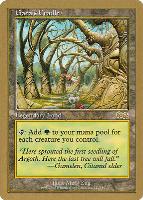 MTG {Blank Card} (2002) (Not Tournament Legal) – World Championship Card #